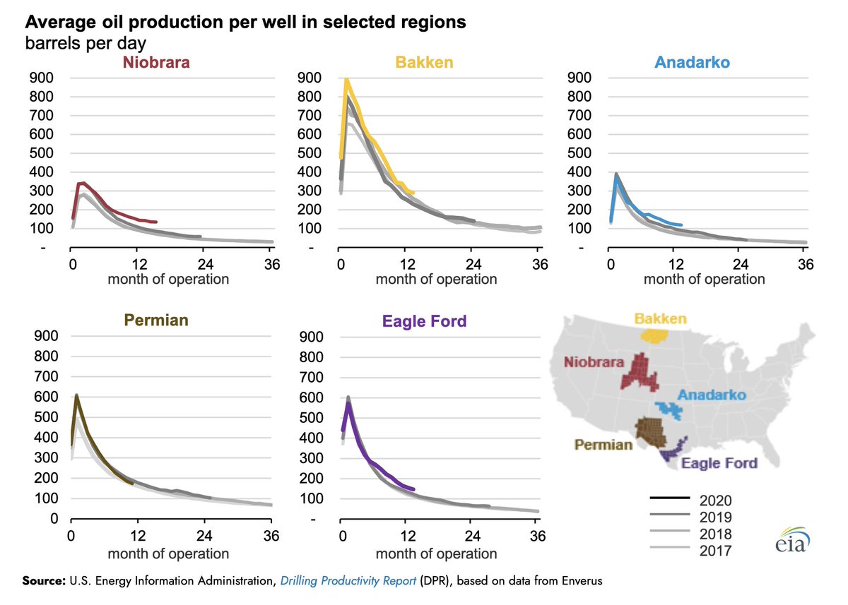 Jesse Peltan tweet media