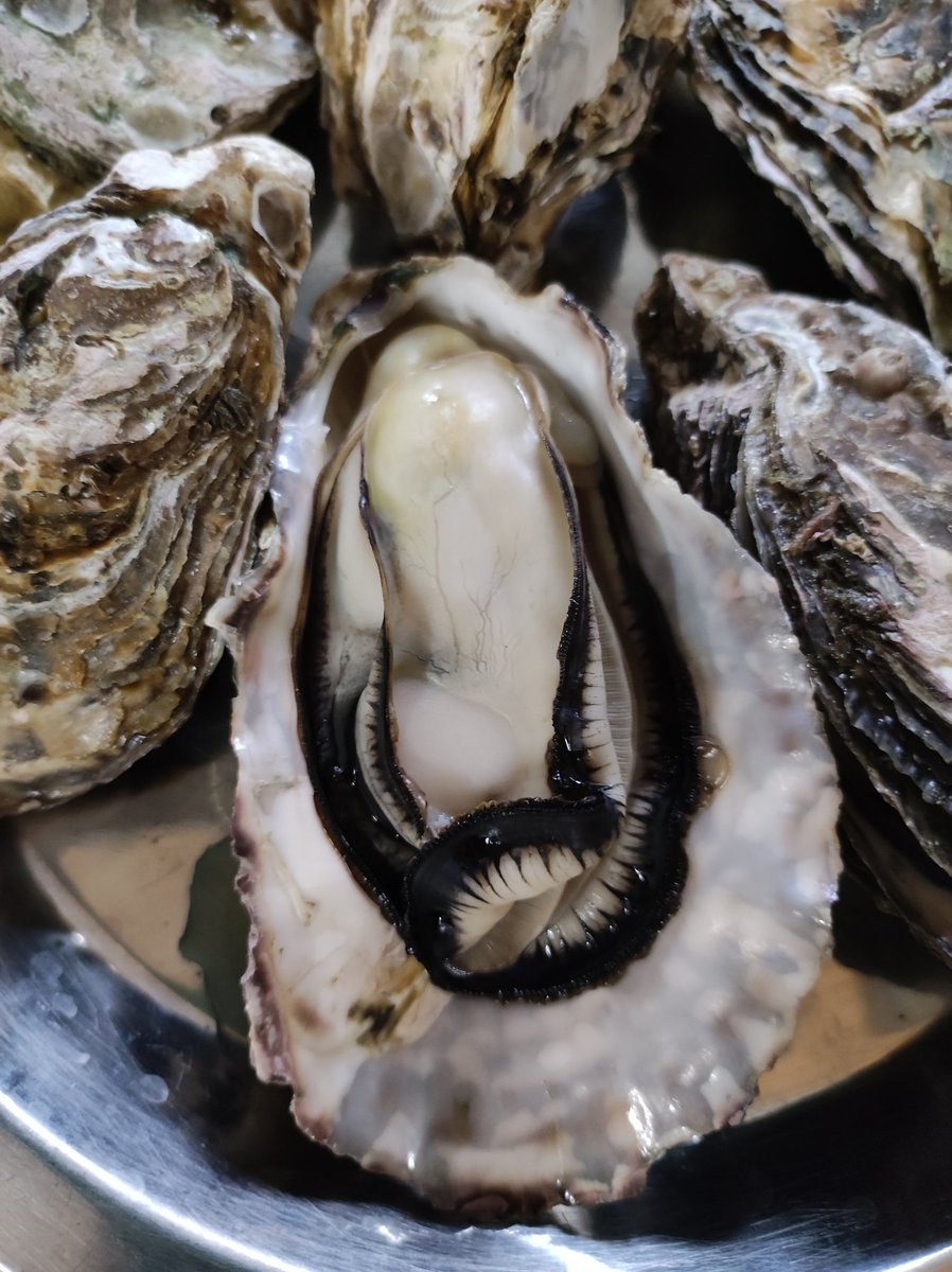 お取り寄せＡセットをタイミング良く購入。たっぷりあったので、親兄弟にもお裾分けして皆で満喫しました。
次はアサリも狙ってます👀