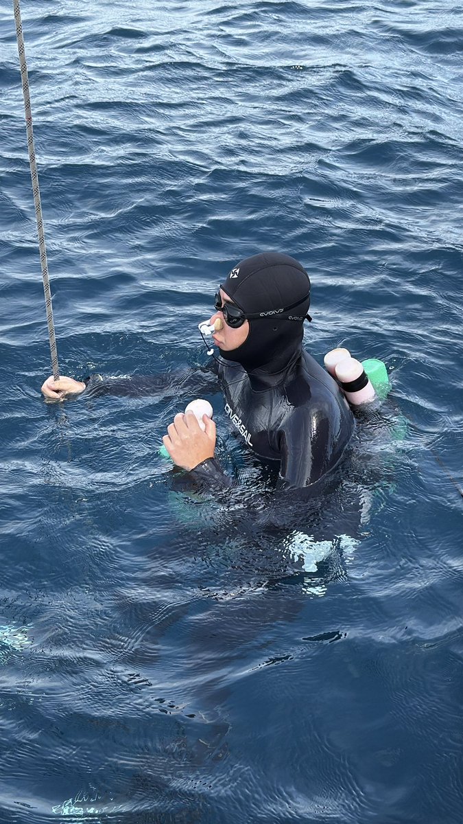 iammarkdizon's tweet photo. At #DoubleK now for some freediving judge duties! #freediving https://t.co/TIElbGA1h2