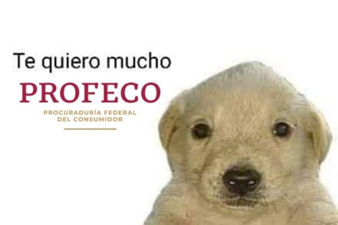 <a href="/porktendencia/">¿Por qué es Tendencia?</a>