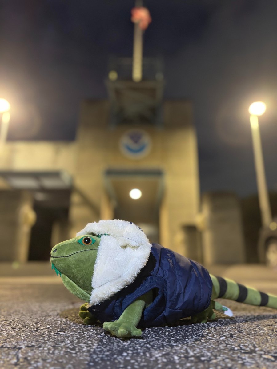 Jan 24, 7PM: Iggy heard the temperatures in South FL would be dropping to the mid 30s (over the interior/southwest) and mid 40s (across the East Coast metro) tonight, so he made a plan to stay warm! 🧥

He hopes everyone else in South Florida will be staying warm too! 🥶