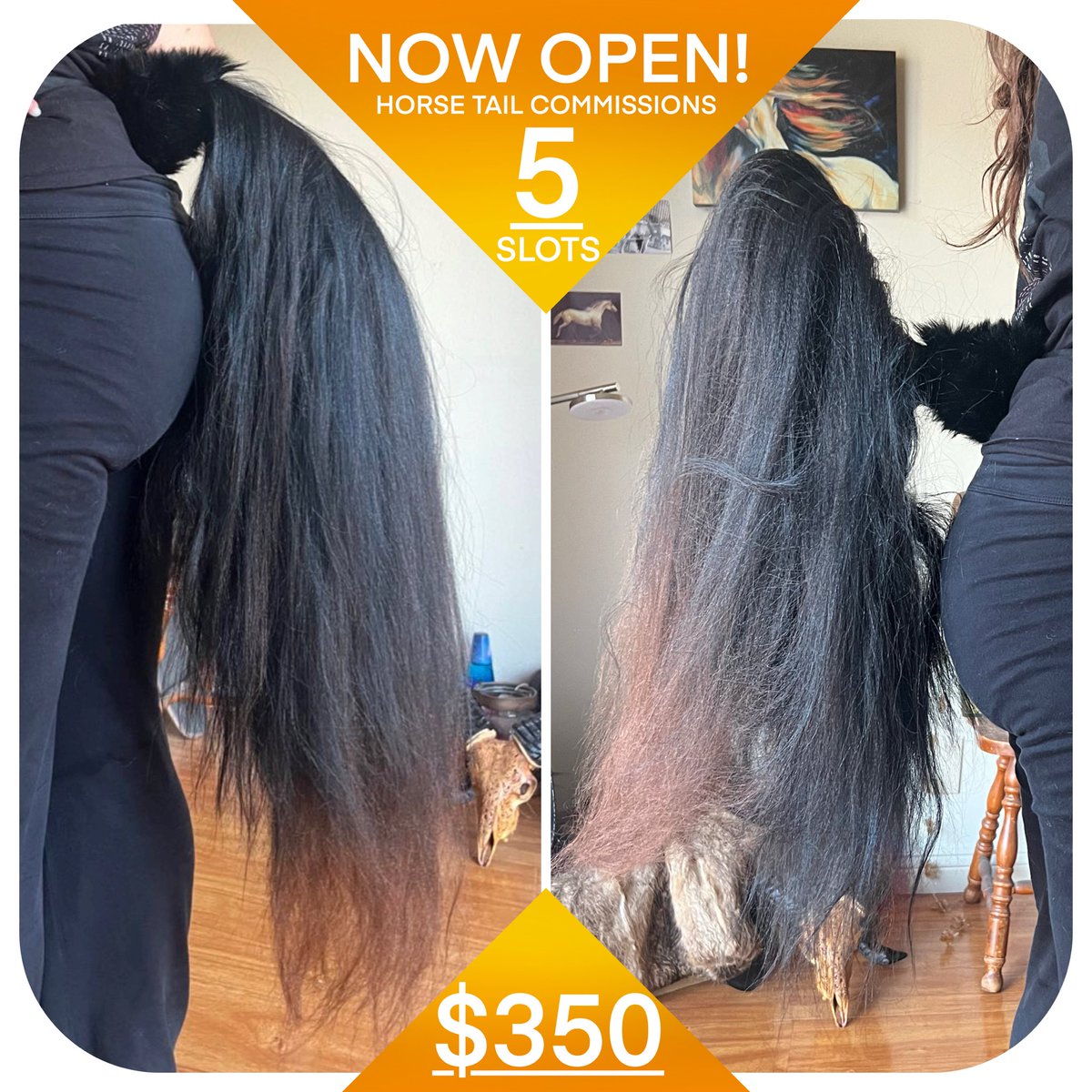 THE TIME HAS COME!!! WE ARE OPEN FOR 0/5 COMMISSION SLOTS FOR FULLY POSEABLE HORSE TAILS!!!!

CAN BE ANY HAIR TEXTURE

WE CAN ALSO OFFER ARTISTIC LIBERTY HORSE TAILS FOR A DISCOUNT!

PM TO CLAIM, FIRST COME FIRST SERVE

SHARES AND INTERACTIONS ARE HIGHLY APPRECIATED