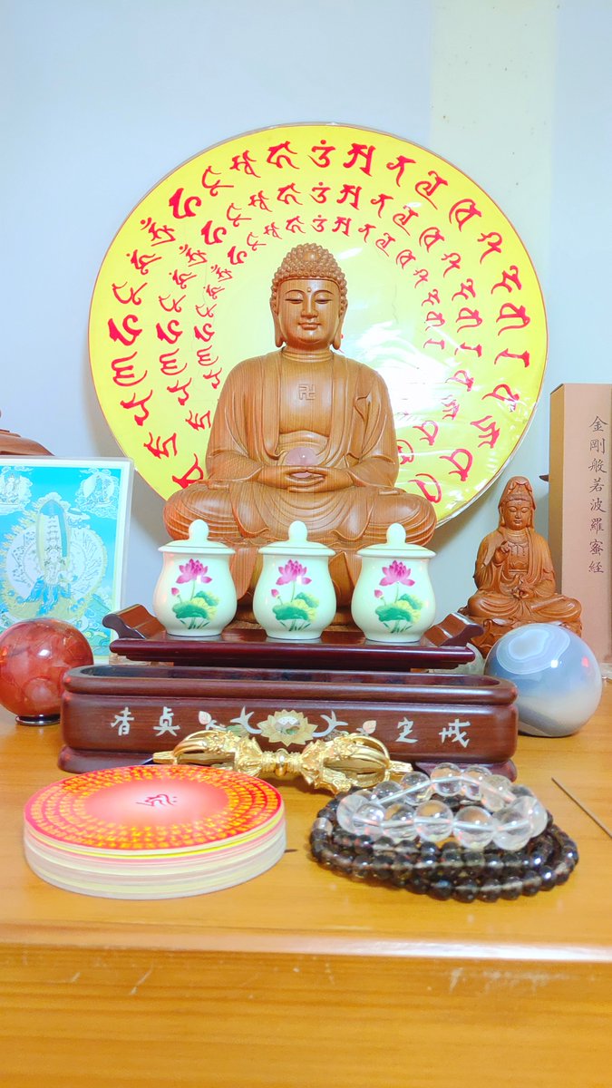 堅持念誦普光明藏經的十大理由

muni-buddha.com.tw/dac.html

#大乘離文字普光明藏經 #大乘離文字 #普光明藏經 的十大理由：此經是如意寶，求什麼都能滿願。不分教派，無論禪宗、淨土、密法的行者都可以修。讀此經一遍的功德等於念金剛薩埵心咒50萬遍、供曼扎三萬四千遍，破瓦、拙火不求自得。