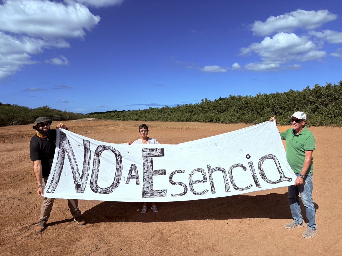 Comité por la Verdadera Esencia del Suroeste (@porsuroeste) on Twitter photo 
