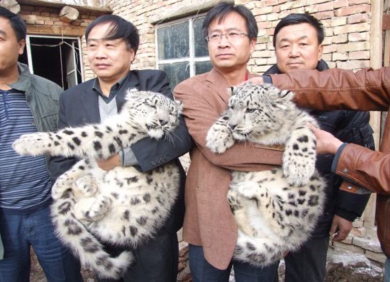 𝙉𝙤𝙢𝙖𝙙 𝘾𝙪𝙡𝙩𝙪𝙧𝙚 tweet media