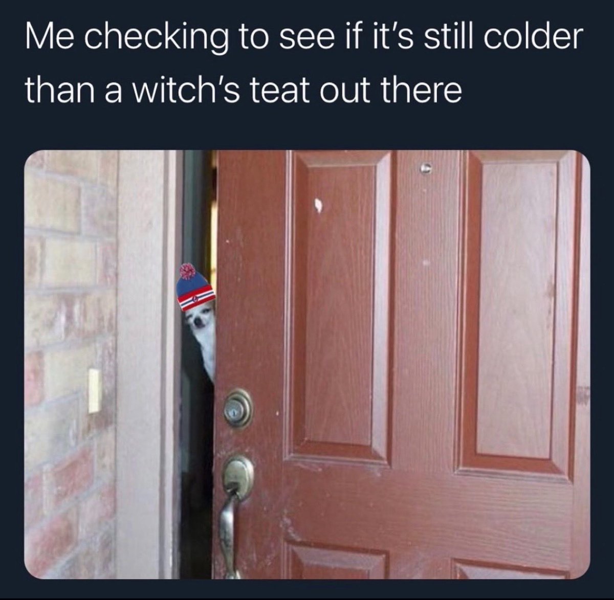 JulieVols Sports Talk Show Co-Host tweet media