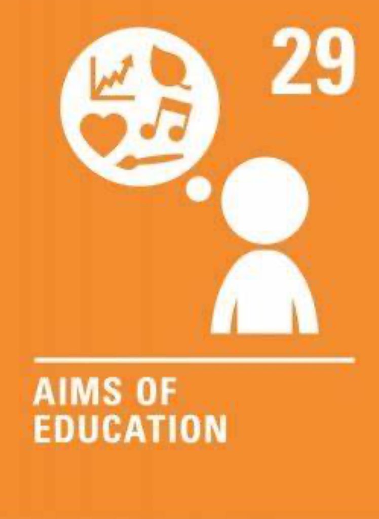 Dallas Primary tweet media