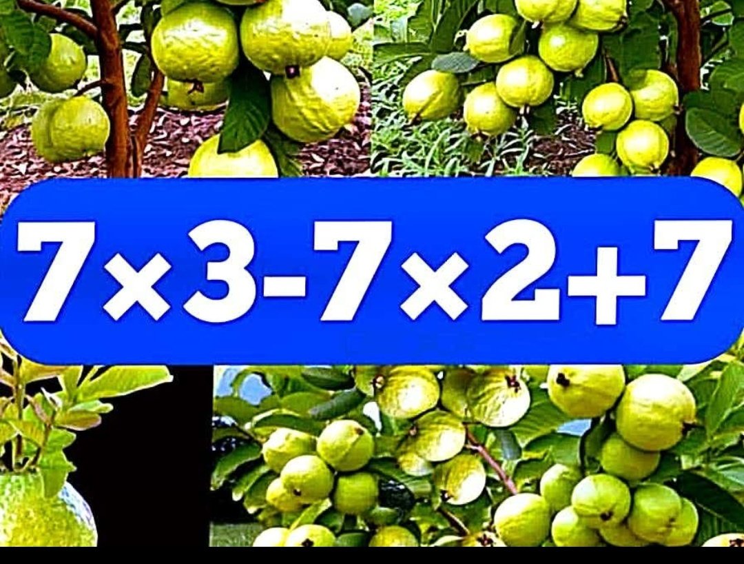 brainyquiz_'s tweet photo. What is Right Answer ✍️❔
#iQMathTest https://t.co/UaQwGwoBJf