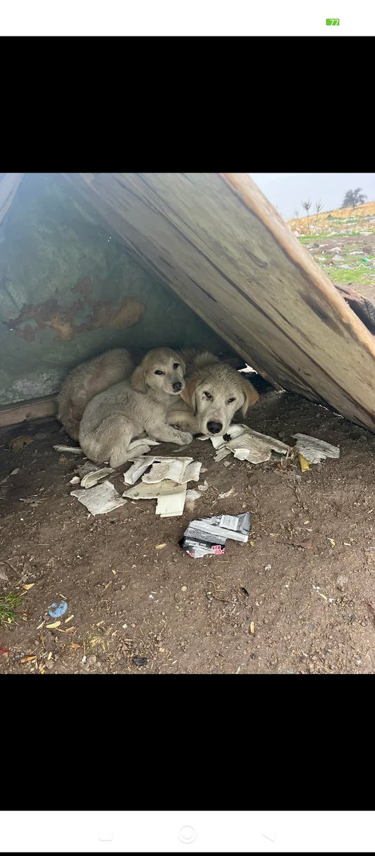 #AfyondaKATLİAMVAR

#AfyondaKATLİAMVAR 

#AfyondaKATLİAMVAR 
Allah'tan başka herkesten herşeyden korkar olmuşsunuz ölüm var,ahiret var.Rabbim her iki taraftada sorar bu canların hesabını