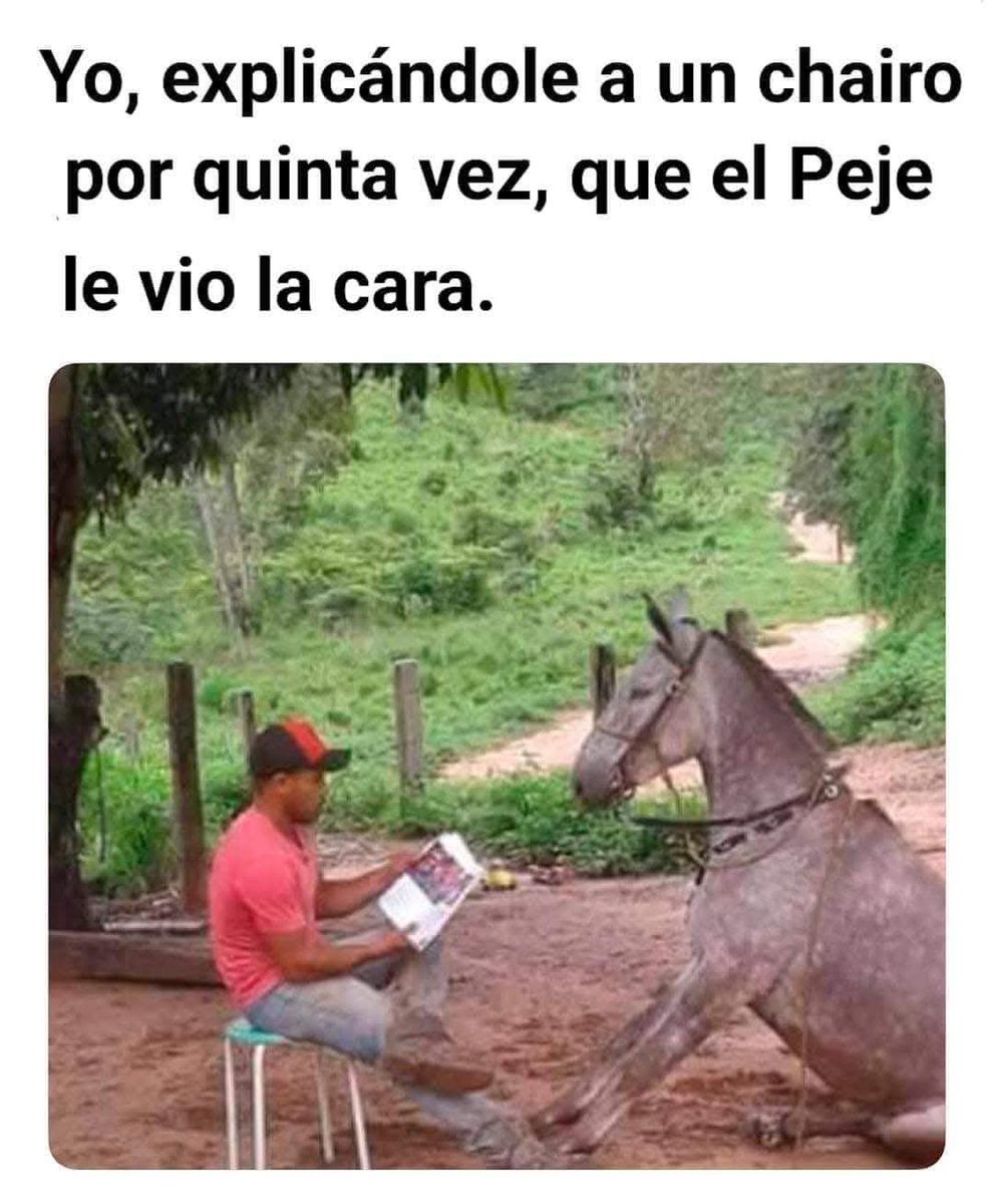 Simplemente no hay manera 🤷