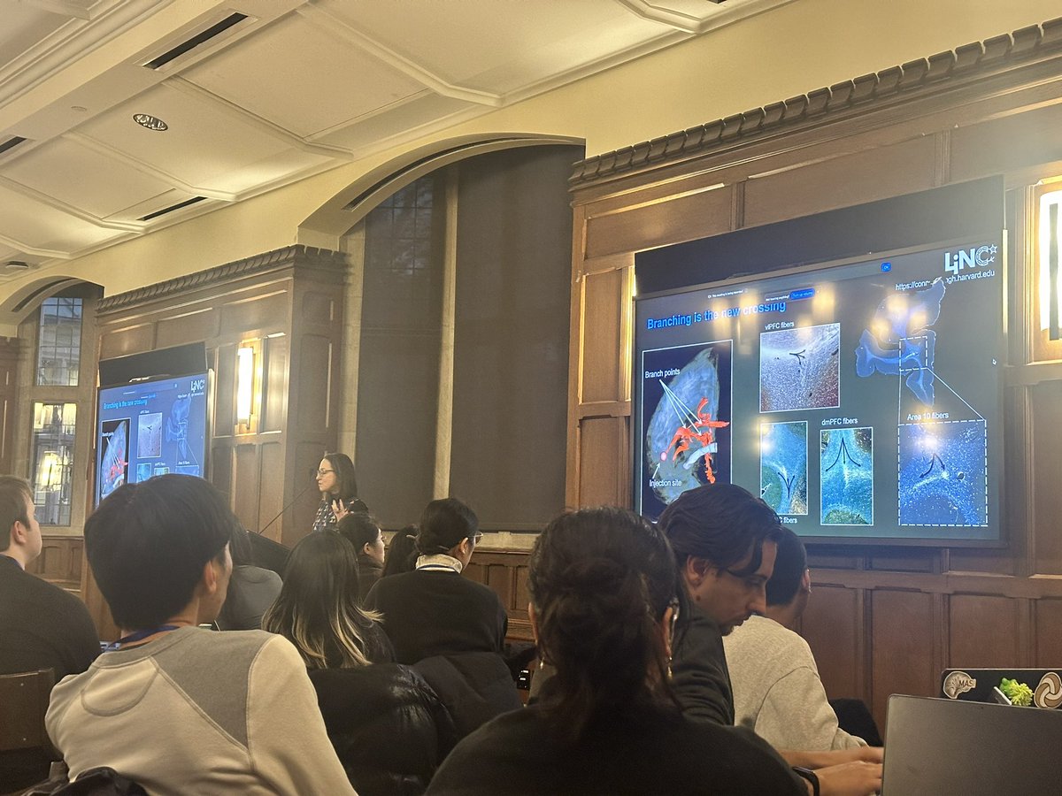 kurt.schilling (@kurtschilling5) on Twitter photo Keynote from <a href="/nastasiayendiki/">Anastasia Yendiki</a> at BrainHack Vanderbilt. Excited to see what our students can do over the next two days <a href="/MASI_Lab/">Bennett Landman (Vanderbilt MASI Lab)</a> <a href="/neurdylab/">neurdylab</a> <a href="/vuiis/">VUIIS</a> Keynote from <a href="/nastasiayendiki/">Anastasia Yendiki</a> at BrainHack Vanderbilt. Excited to see what our students can do over the next two days <a href="/MASI_Lab/">Bennett Landman (Vanderbilt MASI Lab)</a> <a href="/neurdylab/">neurdylab</a> <a href="/vuiis/">VUIIS</a>