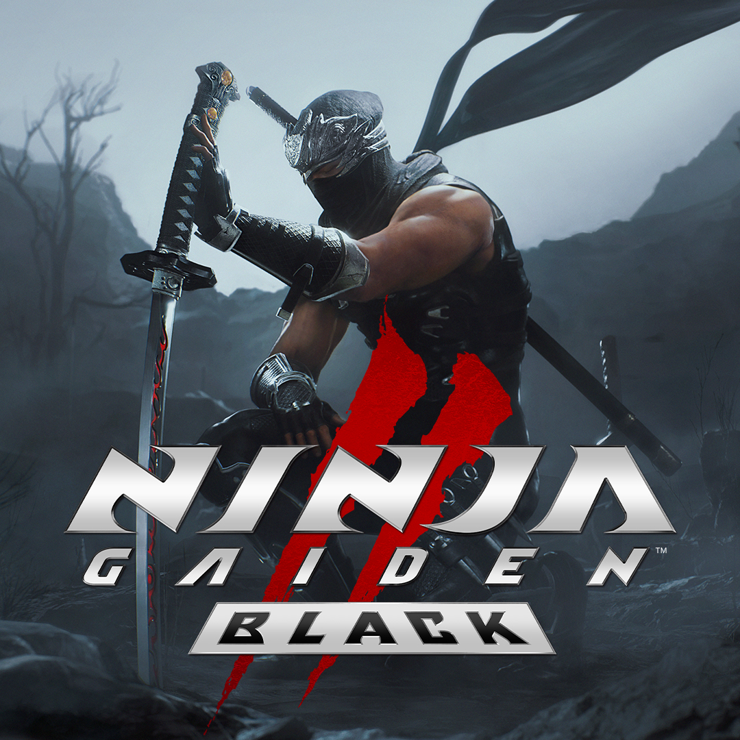 Team NINJA tweet media