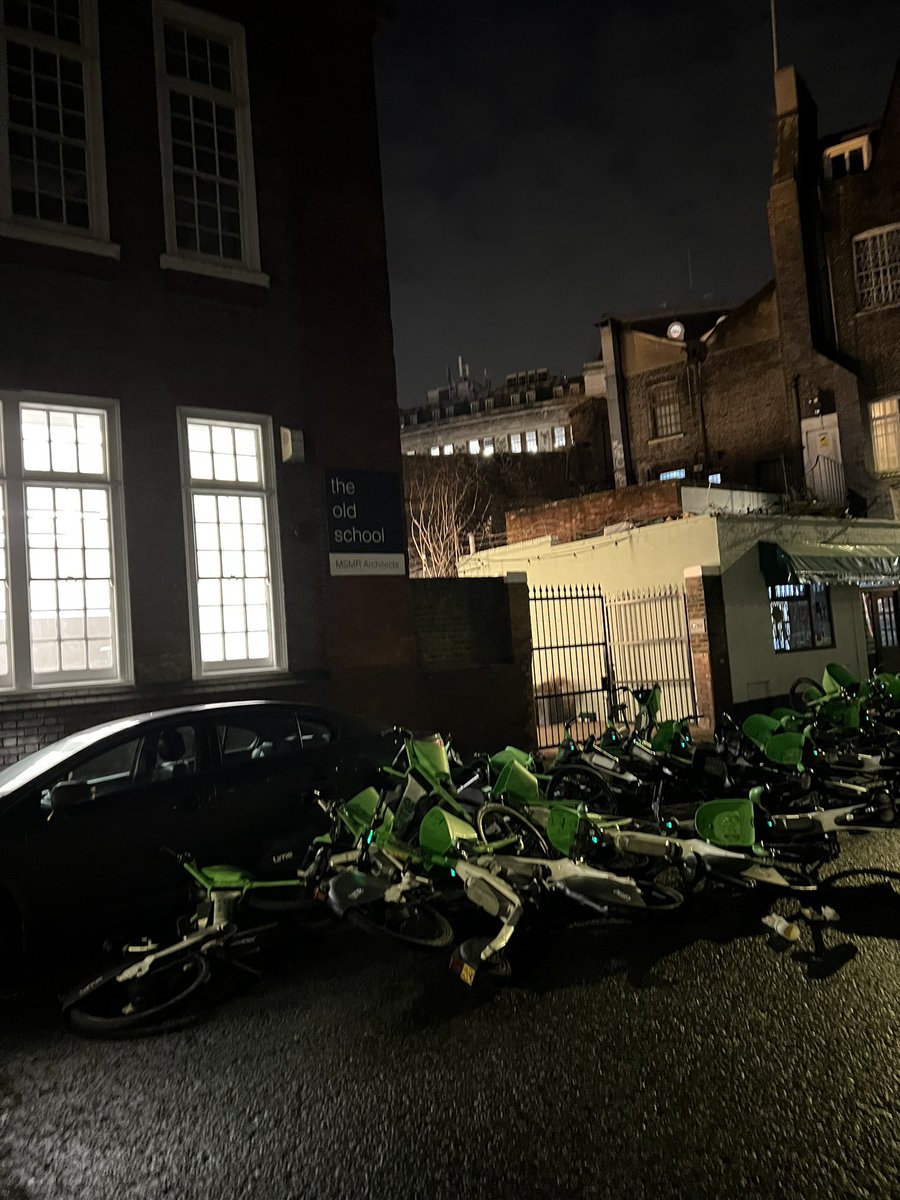 Ayala Ples tweet media