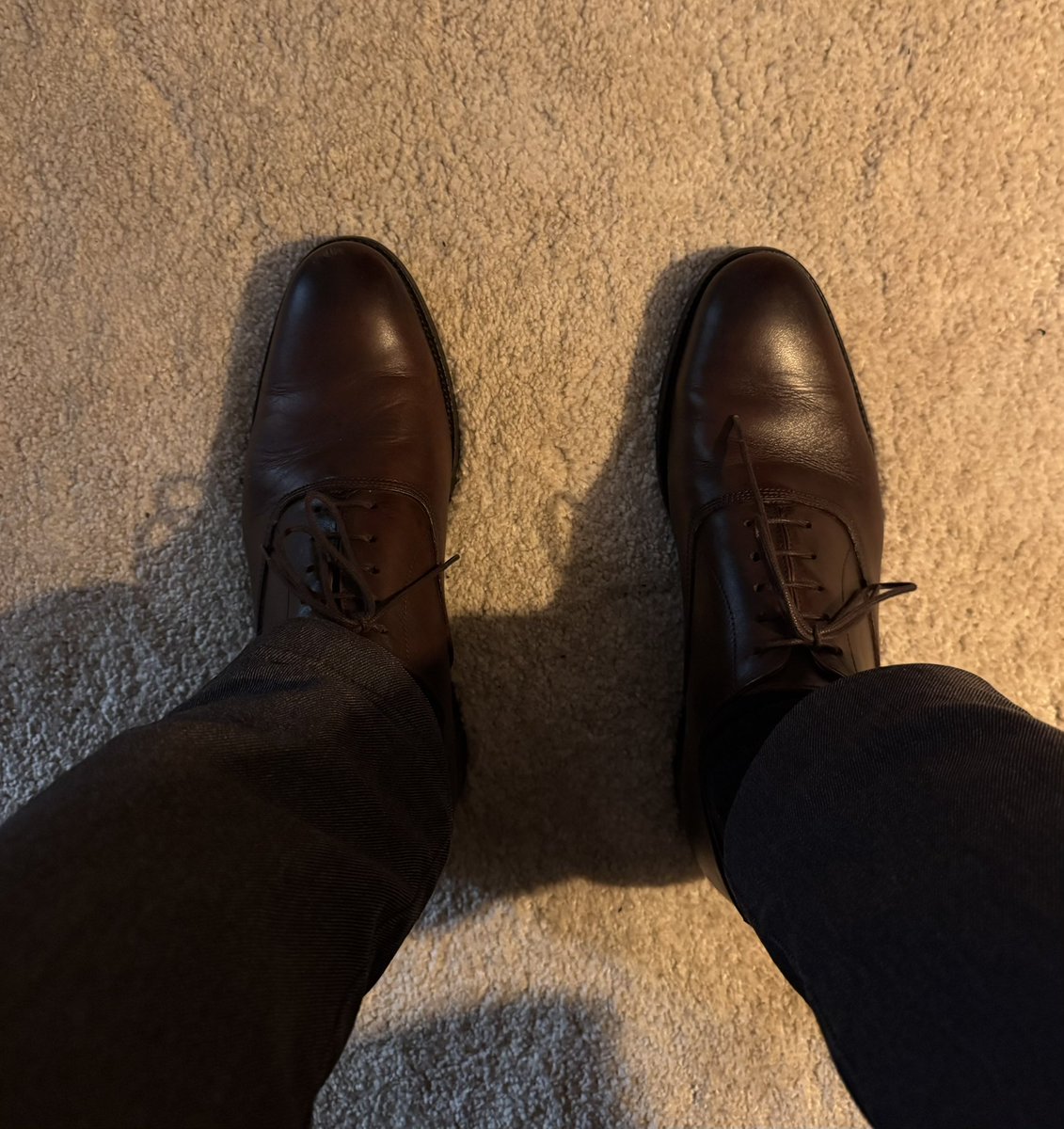 TonMasterHugo's tweet photo. Bonne nuit mes #soumis , à mon réveil je veux voir mes notifs PayPal qui ont chauffé toute la nuit..
Prouve moi ton dévouement !💸

#MoneySlave #PayPig #FinancialDomination #SendTribute https://t.co/vSqe9KjXVu
