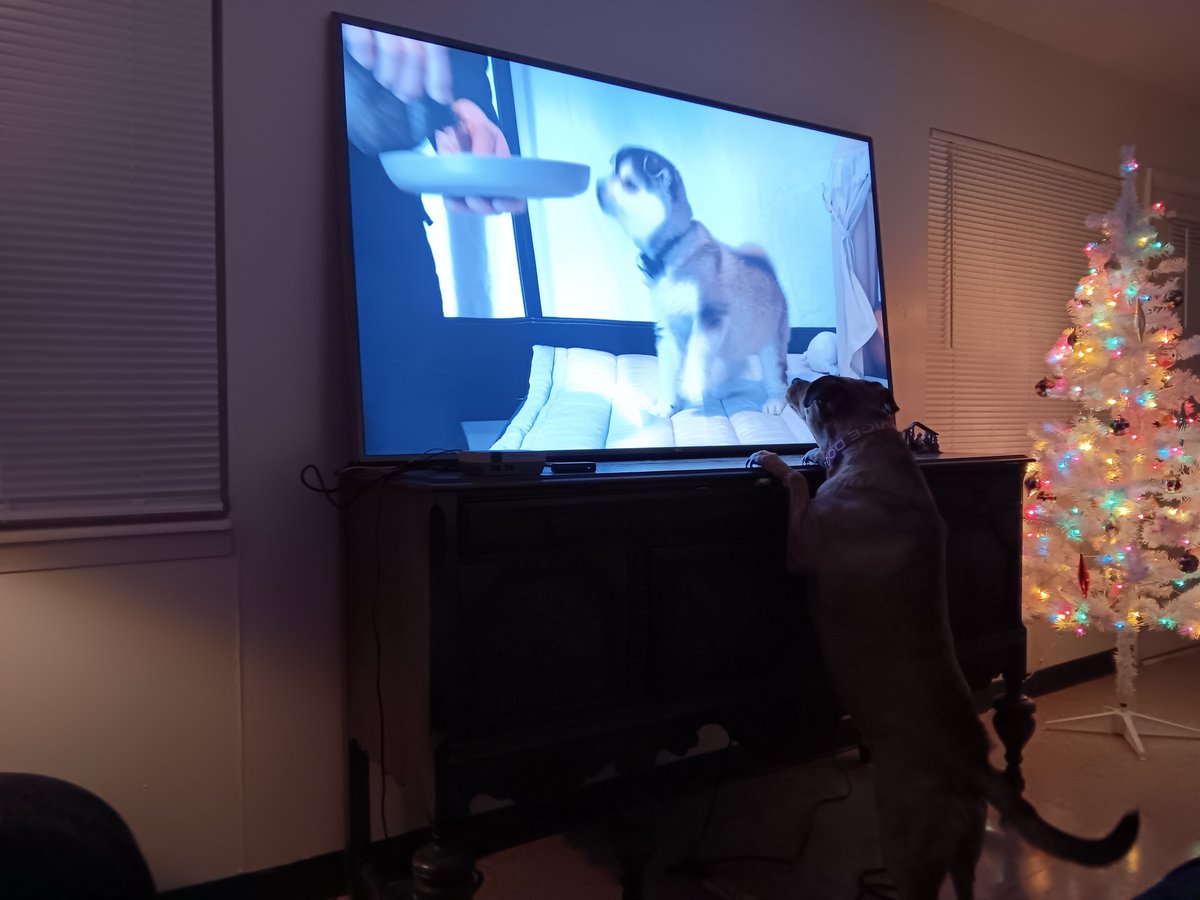 Abel wants to know where that puppy is!  Heheh...