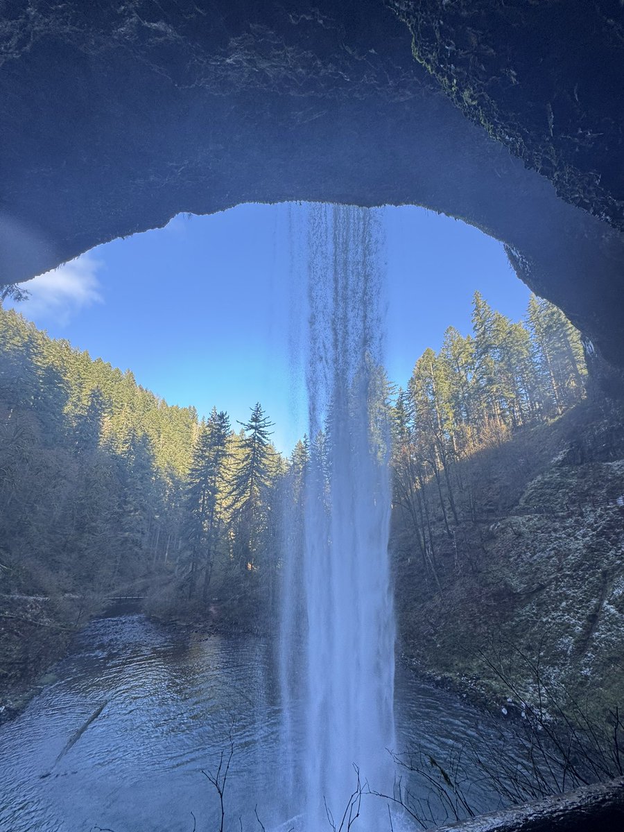 silver falls was beautiful today, and icy af. bella did sooo good off leash in a dog restricted trail 🤭