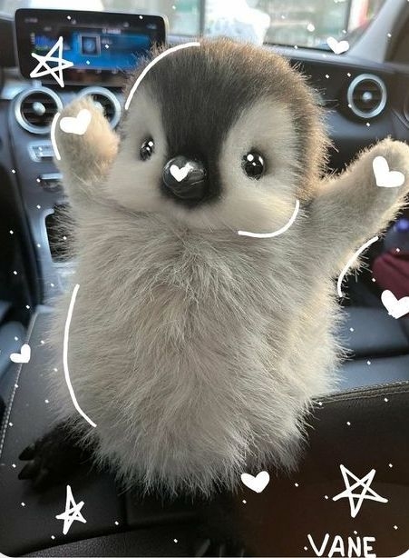 thekakoro's tweet photo. How does Pinterest see you
🌌character
🐹 tattoo
🌌 doll
🐹 animal https://t.co/OVCbvzpBeP