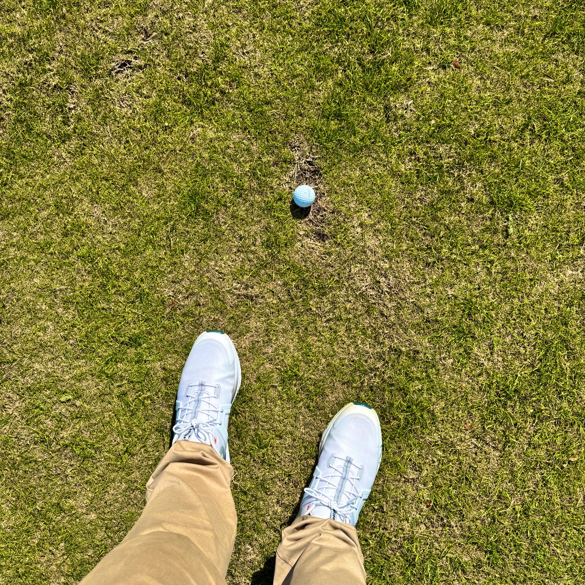 Peter Finch tweet media