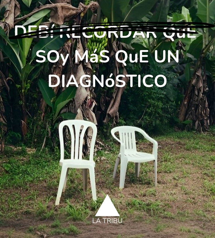 La Tribu tweet media