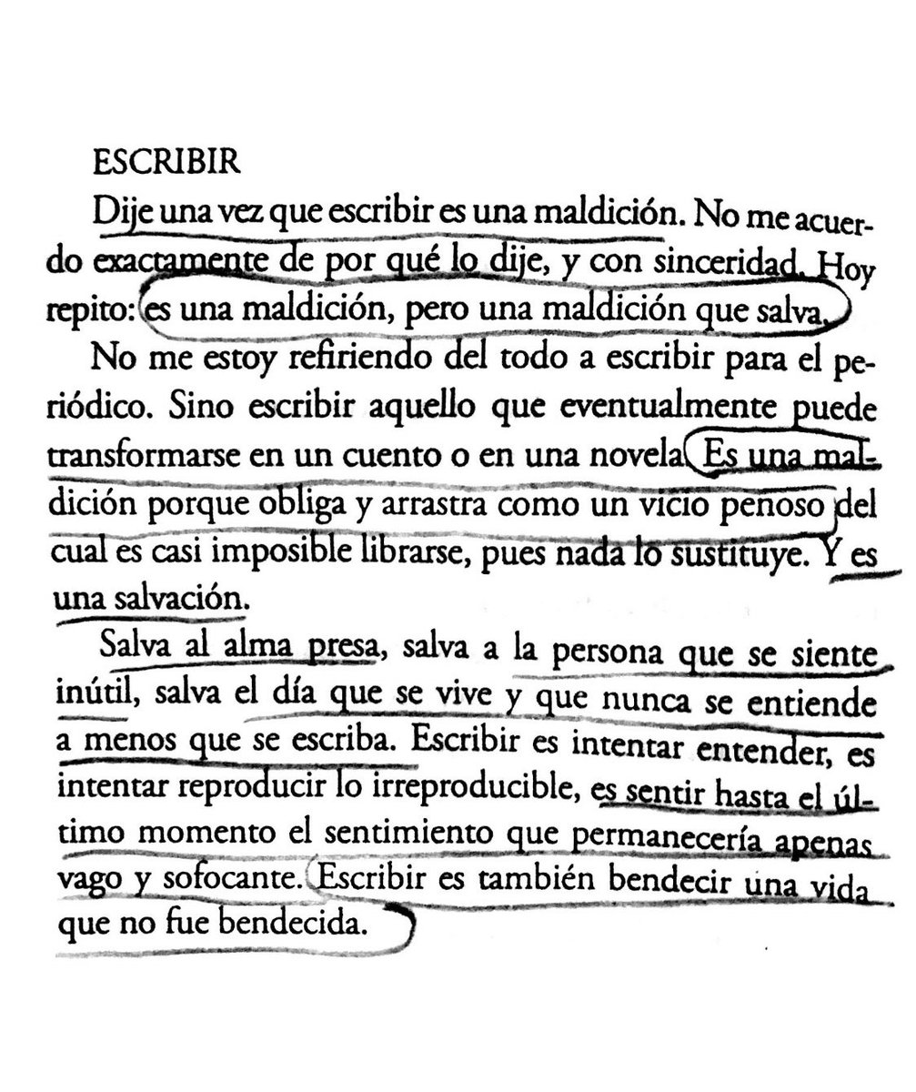 clarice lispector !!!!