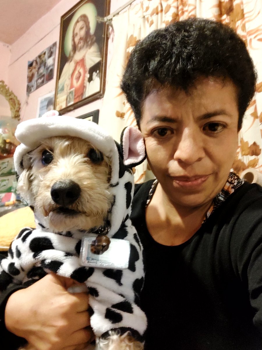 GabyPer2718's tweet photo. Que frío hizo el día de hoy en Querétaro mi BB todo el día con su pijama de vaca 
🥰🐮❄️🌬️ https://t.co/j30emIfhR9