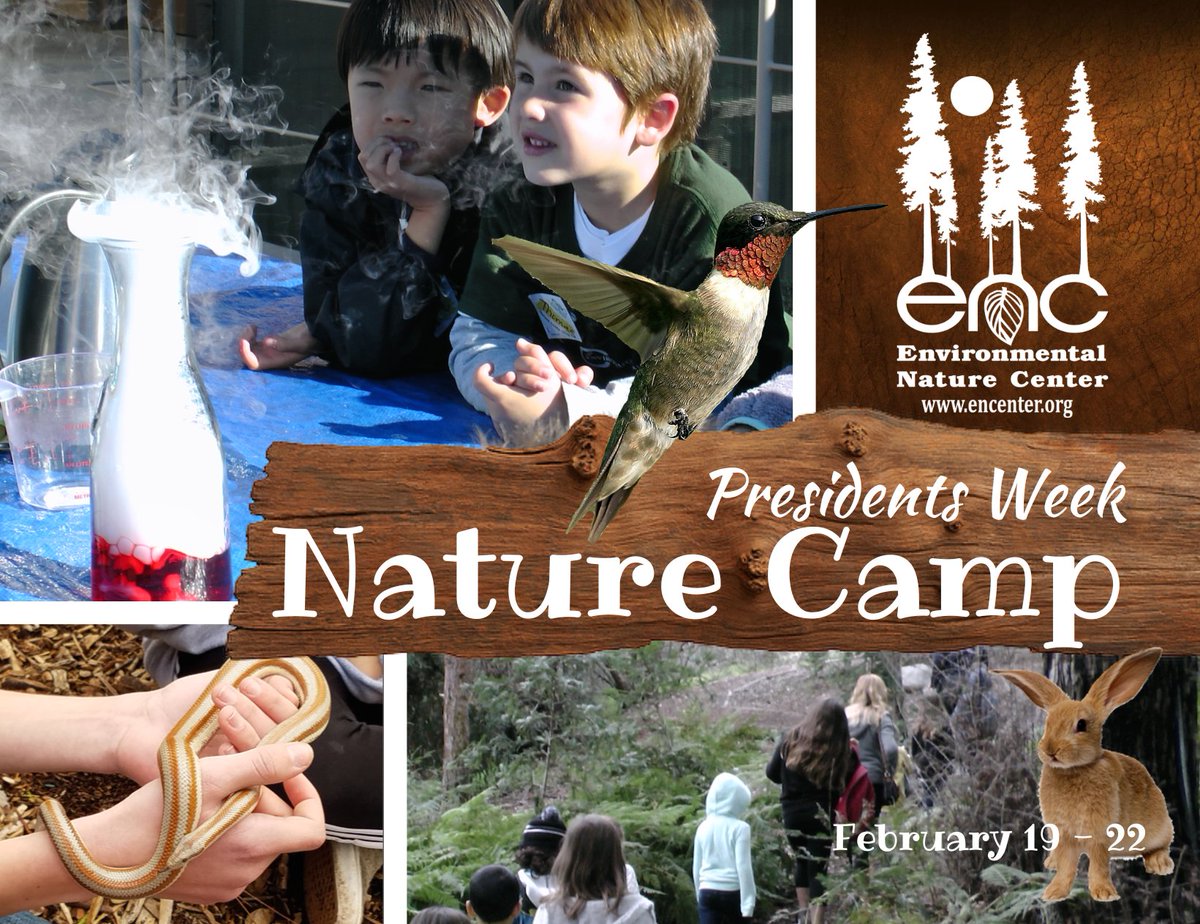 🏕️ Celebrate International Day of Education with outdoor learning!

✨ ENC Presidents' Week Nature Camp:
🍃 Explore trails
🌞 Discover wildlife
🎨 Create nature-inspired art

📅 register today!
🌐 encenter.org

#PresidentsWeek #NatureCamp #InternationalDayOfEducation