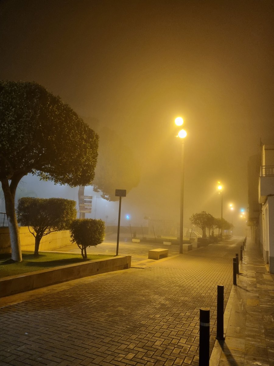 tuweb TV tweet media