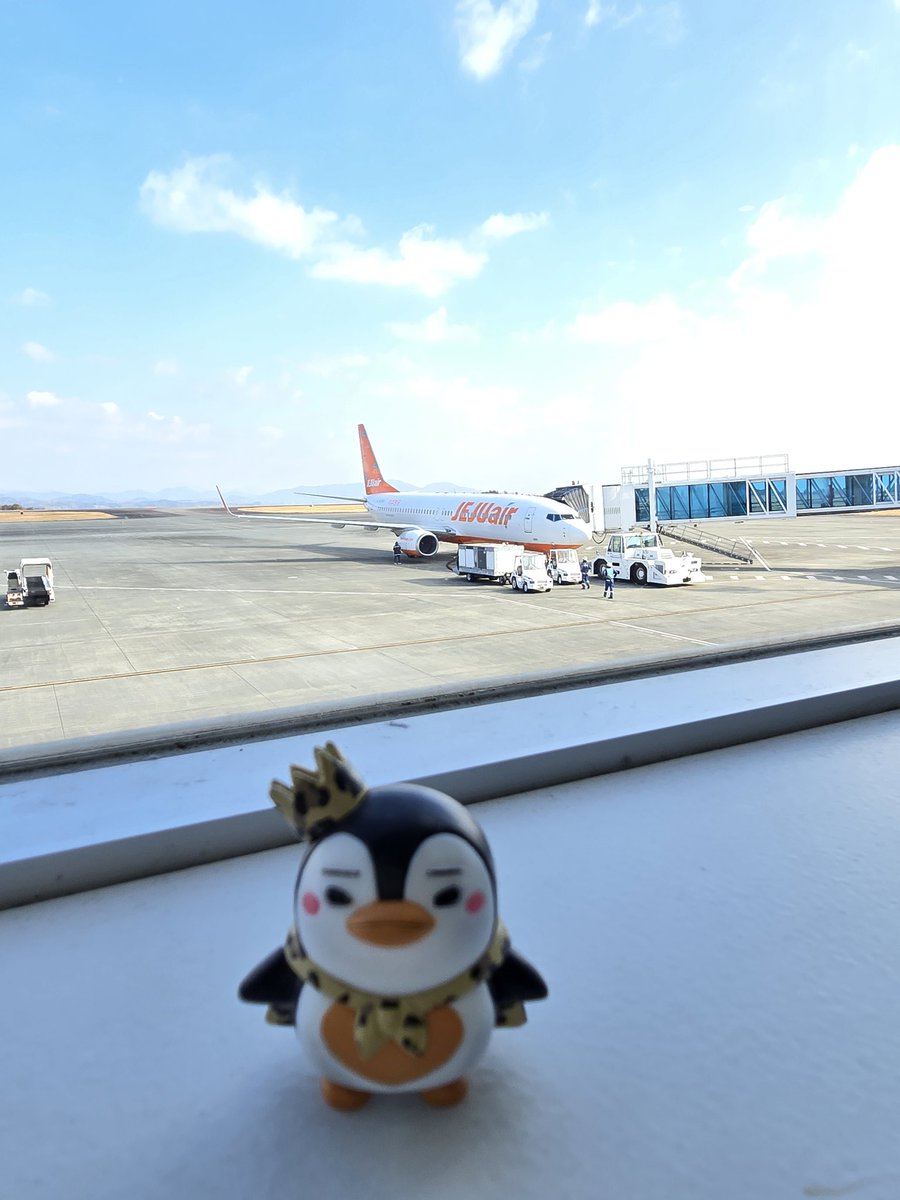 行ってきまーす！