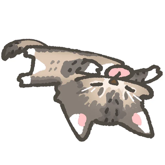  주문하신 고양이 나왔어요 