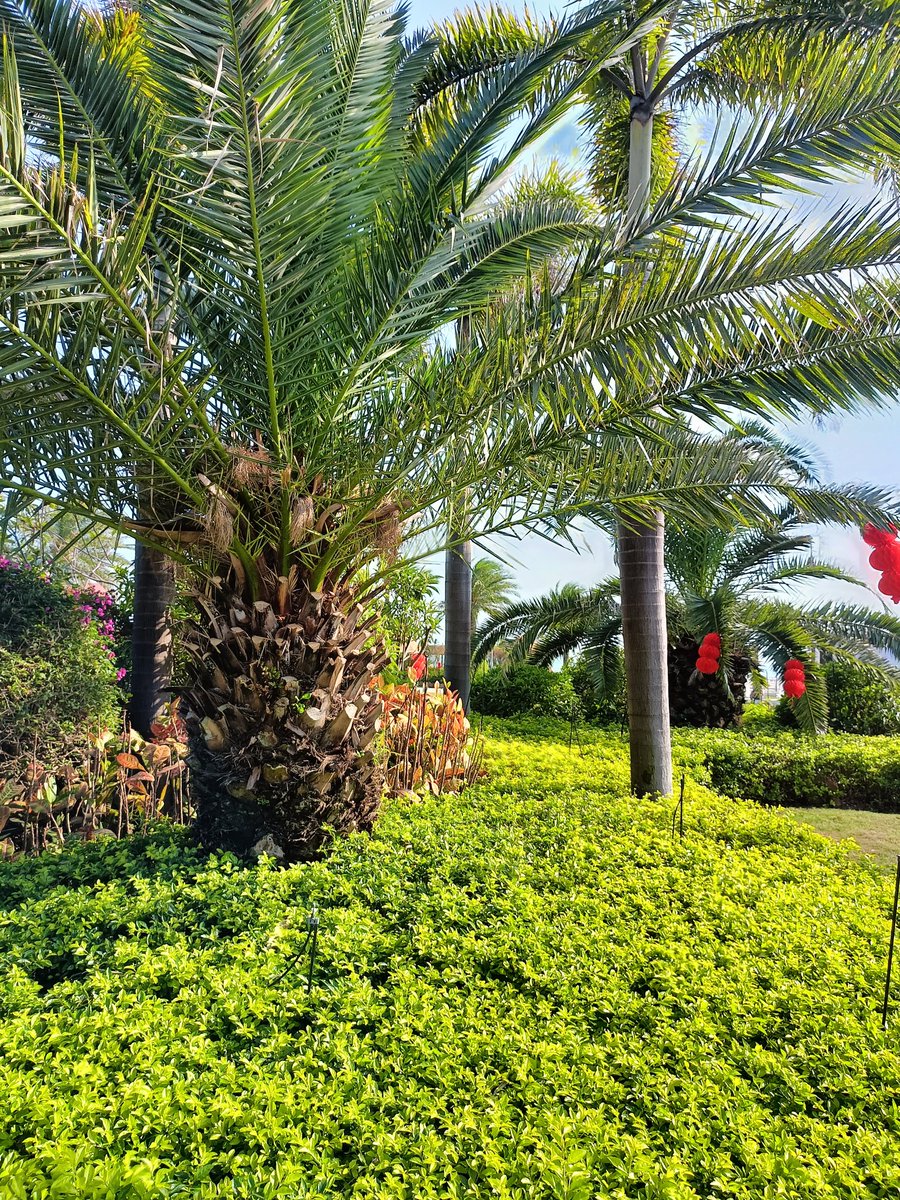 生活充满了无数选择
所以不要停留在
过去的错误原地踏步
有意义的失败 
远比无意义的成功更有价值