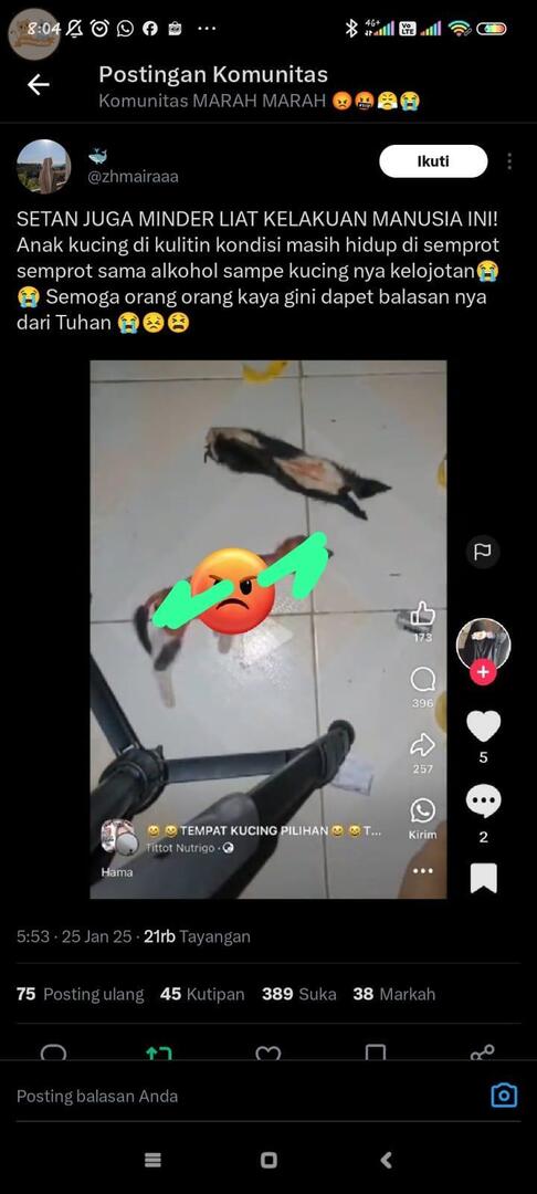 kochengfs's tweet image. TW // Penyiksaan

Guys please bantu up biar pelaku bisa diproses hukum 😭 kcg!