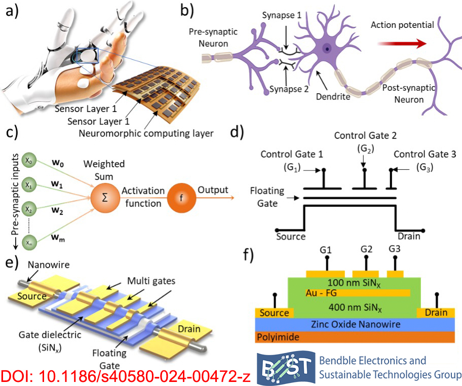 Multi-gate neuron-like transistors based on ensembles of aligned nanowires on flexible substrates - our latest art. (rdcu.be/d7qlr), in Nano Convergence. The temporal &amp; spatial summation by v-FETs is interesting for neuromorphic electronic skin. Congrats Neto et al.