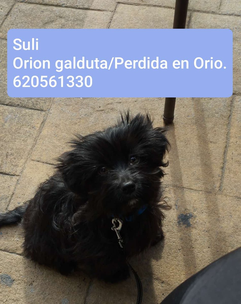 clau tweet media