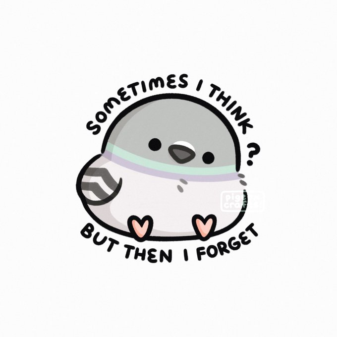 Orla Maeve tweet media