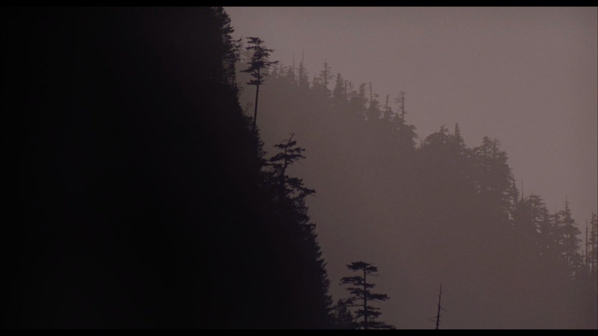 leeartr's tweet photo. Twin Peaks: Fire Walk With Me (David Lynch, 1992) https://t.co/qEEn3esC77