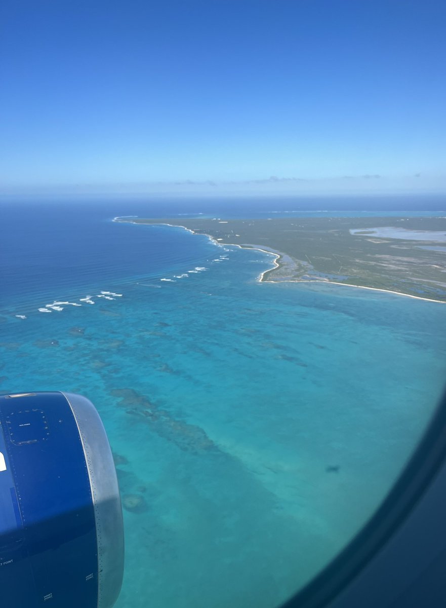 Shawn Tobin tweet media