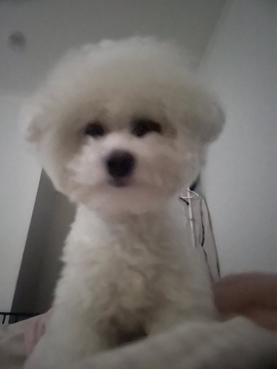 mellow_240331's tweet photo. 起きて1秒後の視界毎朝これ https://t.co/MEWdk3Ck4F