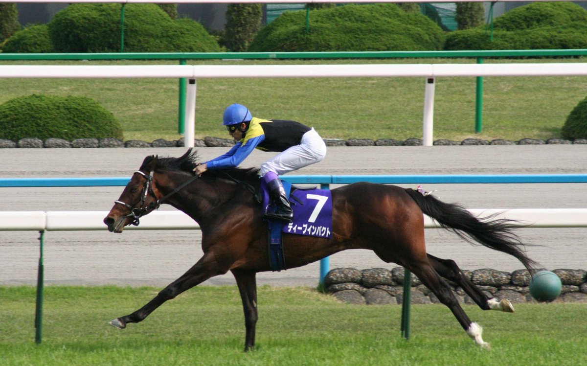 The RacingDownWind Community tweet media