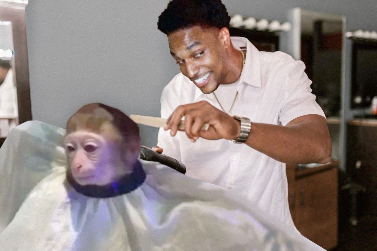 monkeyhaircut 👍 tweet media