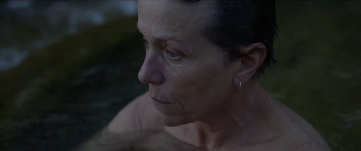 Best Performances of the Decade:
Frances McDormand, NOMADLAND (2020).