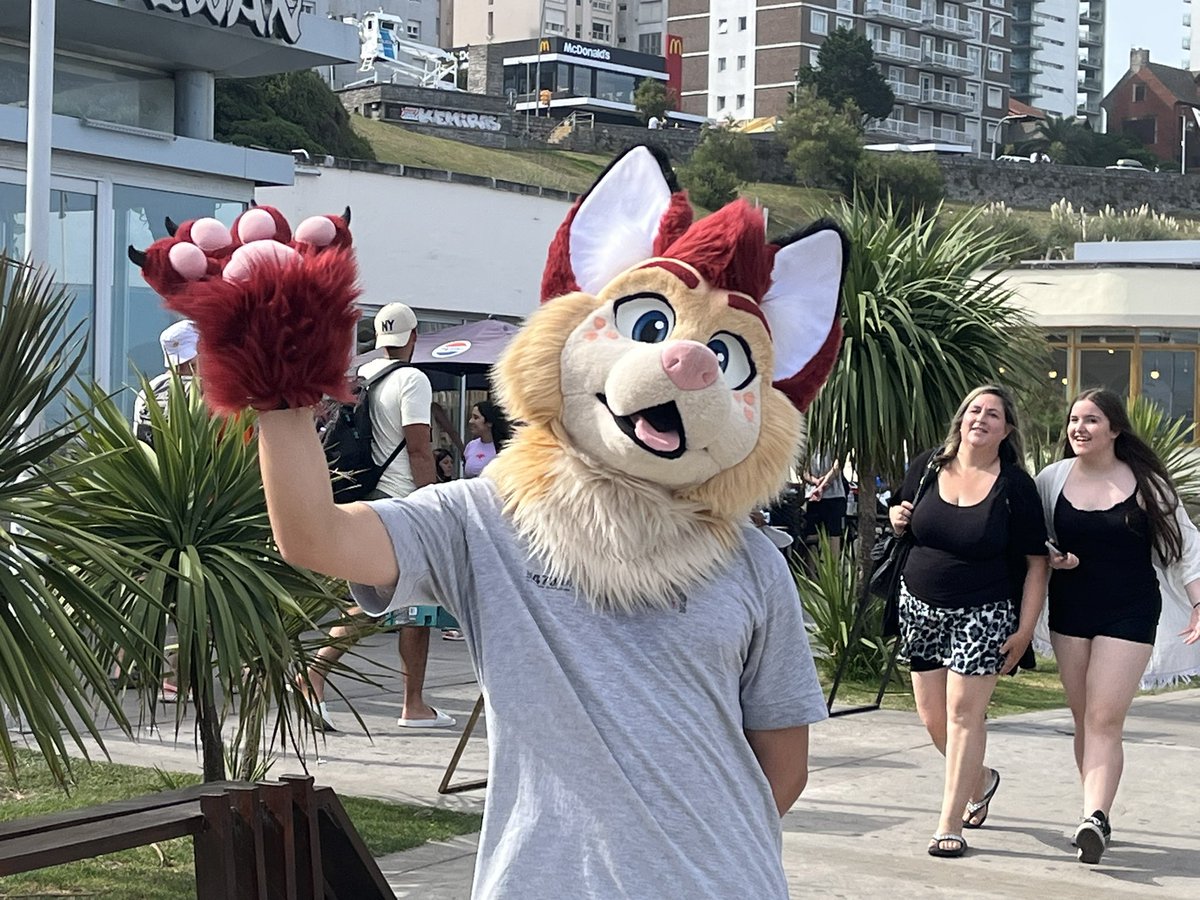 Zyly the Fox! 🧡💛 tweet media