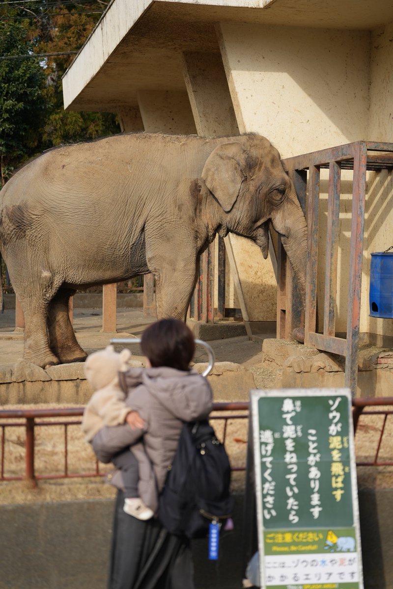 burgerking_lov3's tweet photo. 動物園行ってきた
娘がもう少し動物わかるようになったらオリジナルの動画図鑑作ってみたい
この時ビビってたとか動物の様子がどうだったとかコメント添えたりして📝
楽しみが増えた😊 https://t.co/JYVzOsnmHh