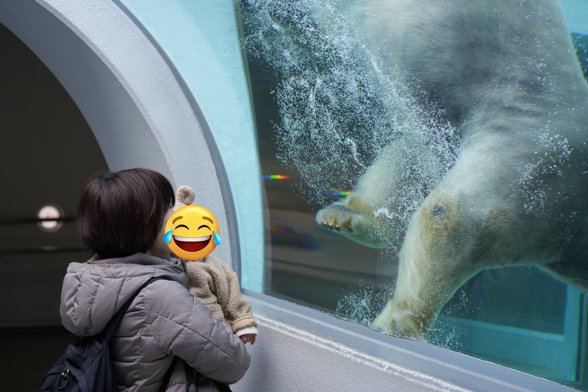 burgerking_lov3's tweet photo. 動物園行ってきた
娘がもう少し動物わかるようになったらオリジナルの動画図鑑作ってみたい
この時ビビってたとか動物の様子がどうだったとかコメント添えたりして📝
楽しみが増えた😊 https://t.co/JYVzOsnmHh