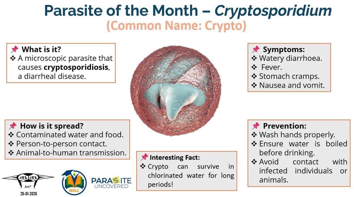 Prof_Ben_G's tweet photo. This is for you @Nikasinolo. Your favorite parasite.

#CRYPTO 
#Cryptosporidium 
#Apicomplexa
#Protozoa
#Parasite https://t.co/A0pnUjo46M