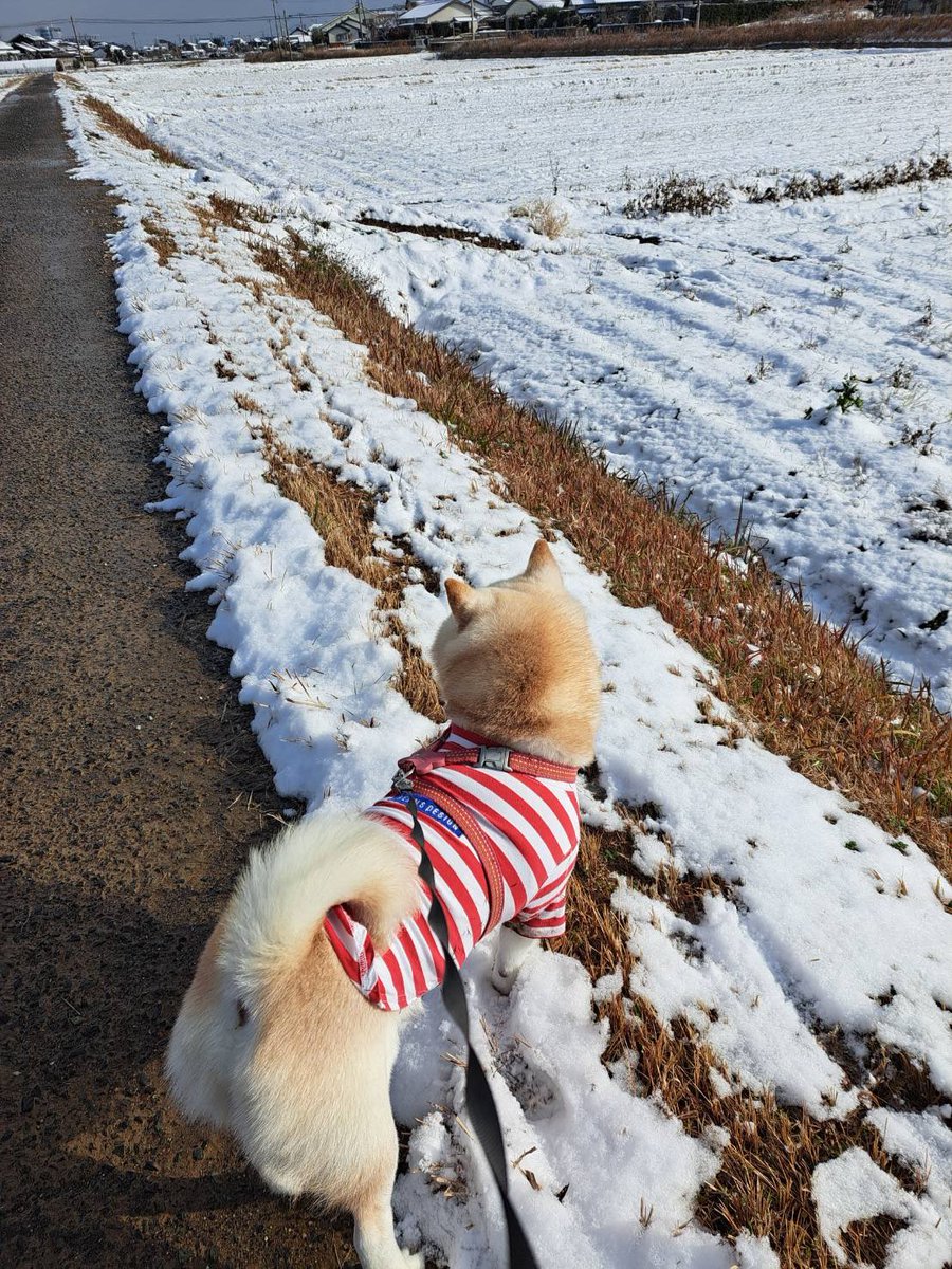 narurui0526's tweet photo. ☃️ https://t.co/0ahantIp9v