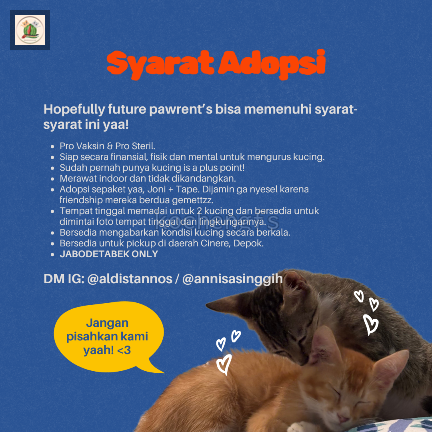 kochengfs's tweet photo. [OPEN ADOPT]

Kcg! Mau open adopt 2 rescue kami, Joni &amp; Tape. Krn rescue kami masih banyak. Kalau bisa lgsg dua2nya krn mereka bersahabat. 

Syarat &amp; ketentuan di gambar yaa. Yang pasti harus sayang yaa. Ini aja istri bikin gambarnya sambil nangis krn sedih (cont) https://t.co/DCFwXliiWF