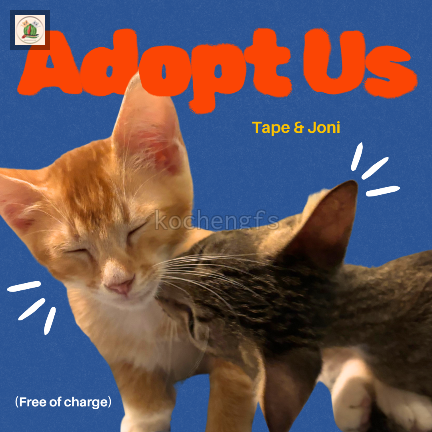 kochengfs's tweet photo. [OPEN ADOPT]

Kcg! Mau open adopt 2 rescue kami, Joni &amp; Tape. Krn rescue kami masih banyak. Kalau bisa lgsg dua2nya krn mereka bersahabat. 

Syarat &amp; ketentuan di gambar yaa. Yang pasti harus sayang yaa. Ini aja istri bikin gambarnya sambil nangis krn sedih (cont) https://t.co/DCFwXliiWF