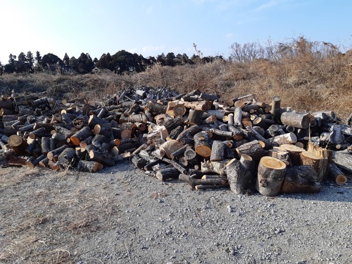 ryubokunet's tweet photo. 【薪材無料配布】茨城県ひたちなか市中根　丸太無料配布（抽選・軽トラ１台迄）芝野公園予定地　申込2025/2/5迄　配布2025/2/14(金) https://t.co/iRYqPu7fF8 https://t.co/ICdj04igqS