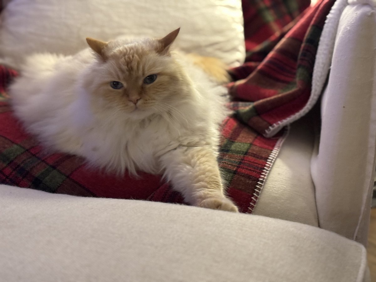 BillyLeFloof's tweet photo. Hello. https://t.co/AKplAvcYrs