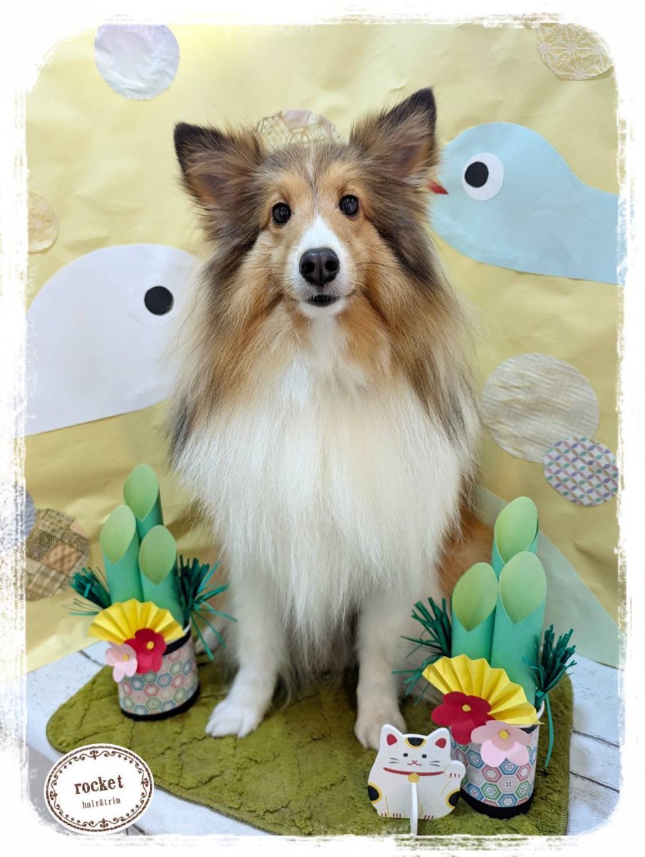 ふわふわモネちん